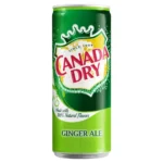 Canada Dry Ginger Ale (24 x 0,33 Liter blik PL) Kopen