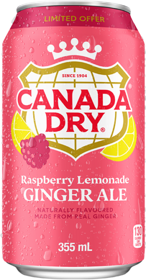 Canada Dry USA Raspberry Lemonade Ginger Ale (12 x 0,355 Liter cans)